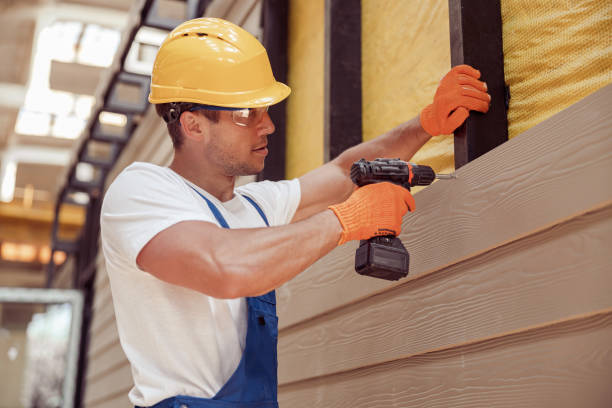 Best Aluminum Siding Installation  in Pce, LA